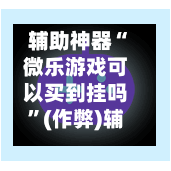 辅助神器“微乐游戏可以买到挂吗”(作弊)辅助透视教程-第3张图片