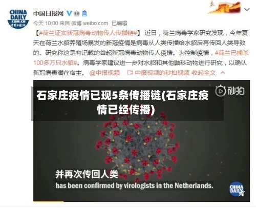 石家庄疫情已现5条传播链(石家庄疫情已经传播)-第2张图片