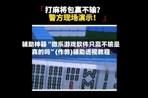 辅助神器“微乐游戏软件只赢不输是真的吗”(作弊)辅助透视教程-第2张图片