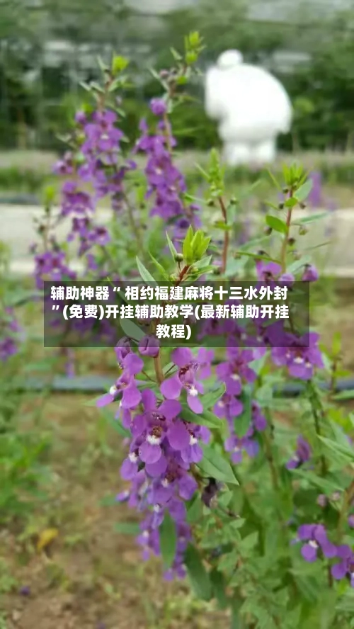 辅助神器“ 相约福建麻将十三水外封”(免费)开挂辅助教学(最新辅助开挂教程)-第2张图片