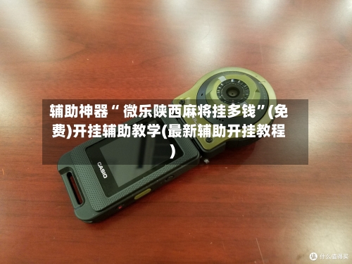 辅助神器“ 微乐陕西麻将挂多钱”(免费)开挂辅助教学(最新辅助开挂教程)