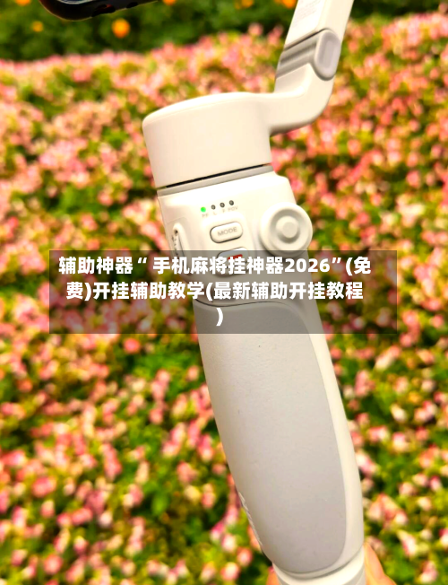 辅助神器“ 手机麻将挂神器2026”(免费)开挂辅助教学(最新辅助开挂教程)-第3张图片