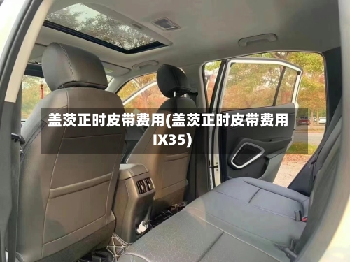 盖茨正时皮带费用(盖茨正时皮带费用IX35)-第2张图片
