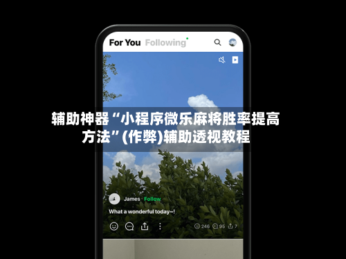 辅助神器“小程序微乐麻将胜率提高方法”(作弊)辅助透视教程-第2张图片