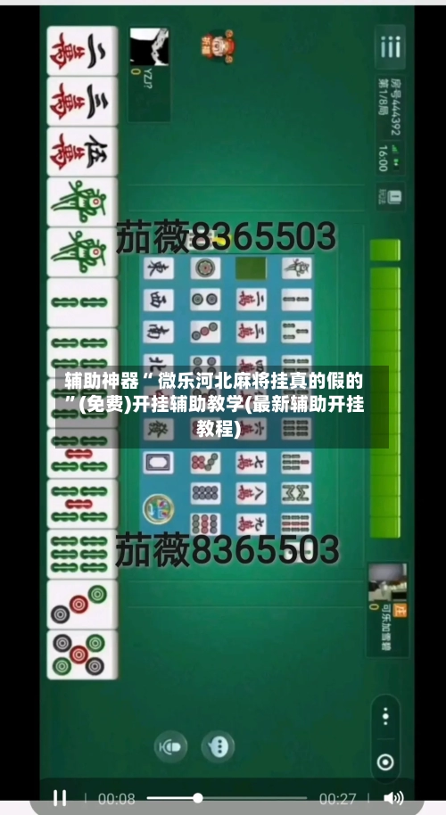 辅助神器“ 微乐河北麻将挂真的假的”(免费)开挂辅助教学(最新辅助开挂教程)-第2张图片