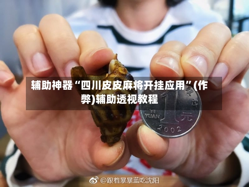 辅助神器“四川皮皮麻将开挂应用”(作弊)辅助透视教程