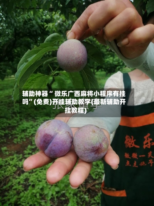 辅助神器“ 微乐广西麻将小程序有挂吗”(免费)开挂辅助教学(最新辅助开挂教程)