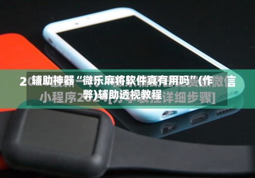 辅助神器“微乐麻将软件真有用吗”(作弊)辅助透视教程-第2张图片
