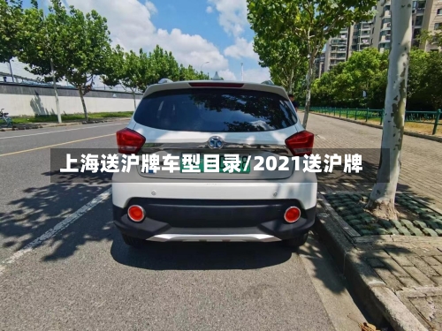 上海送沪牌车型目录/2021送沪牌-第2张图片