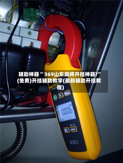 辅助神器“ 369山东麻将开挂神器?”(免费)开挂辅助教学(最新辅助开挂教程)-第2张图片
