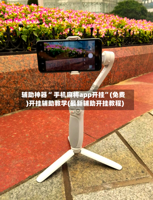 辅助神器“ 手机麻将app开挂	”(免费)开挂辅助教学(最新辅助开挂教程)-第3张图片