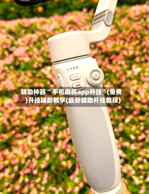 辅助神器“ 手机麻将app开挂”(免费)开挂辅助教学(最新辅助开挂教程)-第2张图片