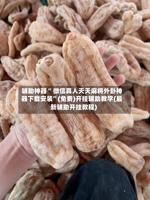 辅助神器“ 微信真人天天麻将外卦神器下载安装”(免费)开挂辅助教学(最新辅助开挂教程)-第2张图片