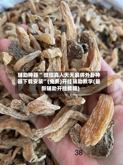 辅助神器“ 微信真人天天麻将外卦神器下载安装”(免费)开挂辅助教学(最新辅助开挂教程)-第3张图片