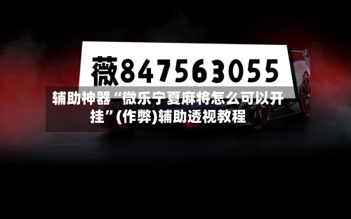 辅助神器“微乐宁夏麻将怎么可以开挂”(作弊)辅助透视教程-第2张图片
