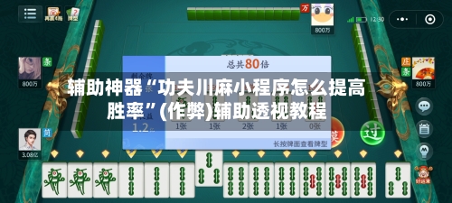 辅助神器“功夫川麻小程序怎么提高胜率”(作弊)辅助透视教程-第3张图片