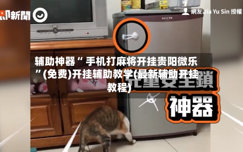 辅助神器“ 手机打麻将开挂贵阳微乐”(免费)开挂辅助教学(最新辅助开挂教程)