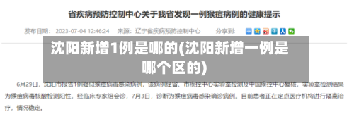 沈阳新增1例是哪的(沈阳新增一例是哪个区的)