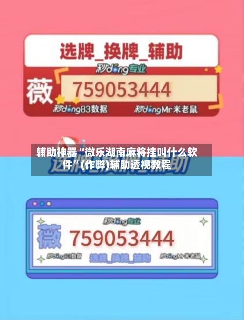 辅助神器“微乐湖南麻将挂叫什么软件”(作弊)辅助透视教程-第2张图片