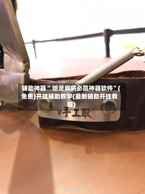 辅助神器“ 哈灵麻将必赢神器软件”(免费)开挂辅助教学(最新辅助开挂教程)-第2张图片