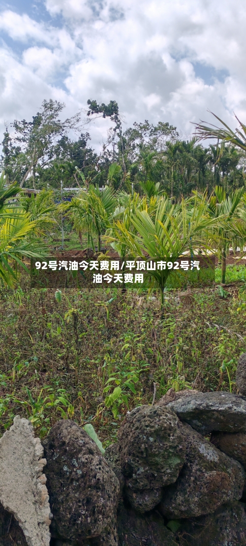 92号汽油今天费用/平顶山市92号汽油今天费用-第2张图片