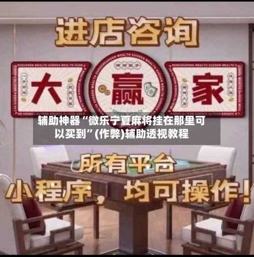 辅助神器“微乐宁夏麻将挂在那里可以买到”(作弊)辅助透视教程-第3张图片