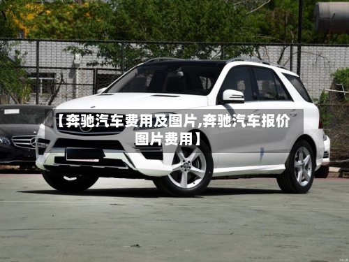 【奔驰汽车费用及图片,奔驰汽车报价图片费用】