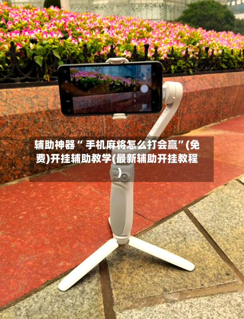 辅助神器“ 手机麻将怎么打会赢”(免费)开挂辅助教学(最新辅助开挂教程)-第2张图片