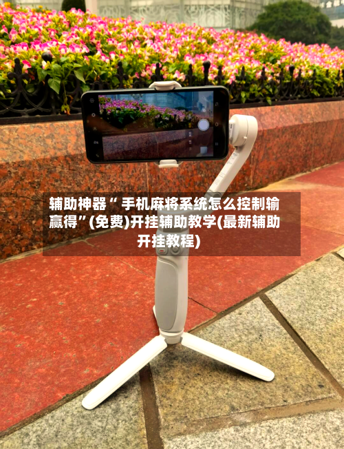 辅助神器“ 手机麻将系统怎么控制输赢得”(免费)开挂辅助教学(最新辅助开挂教程)-第3张图片