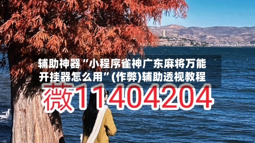 辅助神器“小程序雀神广东麻将万能开挂器怎么用”(作弊)辅助透视教程