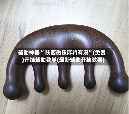 辅助神器“ 陕西微乐麻将有没”(免费)开挂辅助教学(最新辅助开挂教程)-第2张图片