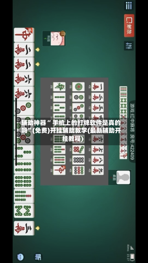 辅助神器“ 手机上的打牌软件是真的吗”(免费)开挂辅助教学(最新辅助开挂教程)-第3张图片
