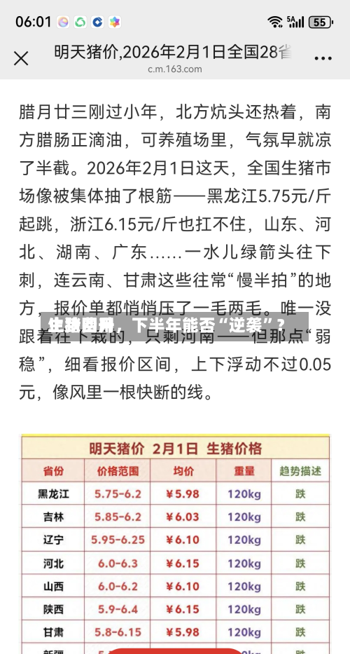 生猪费用止跌回升，下半年能否“逆袭”？