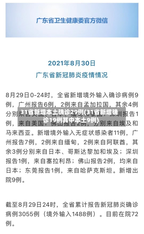 31省新增本土确诊29例(31省新增确诊19例其中本土9例)