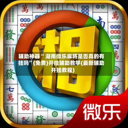 辅助神器“ 湖南微乐麻将是否真的有挂吗”(免费)开挂辅助教学(最新辅助开挂教程)-第3张图片