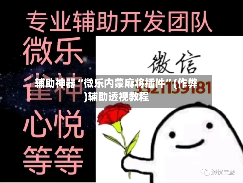 辅助神器“微乐内蒙麻将插件”(作弊)辅助透视教程-第3张图片