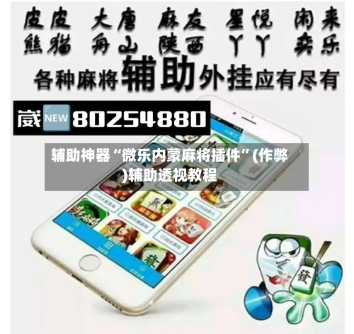 辅助神器“微乐内蒙麻将插件”(作弊)辅助透视教程-第2张图片