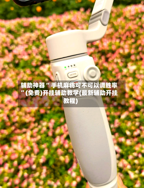 辅助神器“ 手机麻将可不可以调胜率”(免费)开挂辅助教学(最新辅助开挂教程)