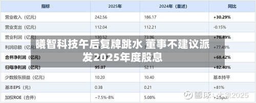 曦智科技午后复牌跳水 董事不建议派发2025年度股息