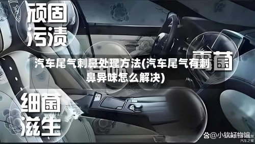 汽车尾气刺鼻处理方法(汽车尾气有刺鼻异味怎么解决)-第2张图片