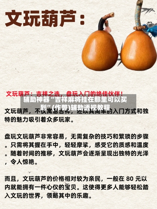 辅助神器“吉祥麻将挂在那里可以买到	”(作弊)辅助透视教程-第3张图片