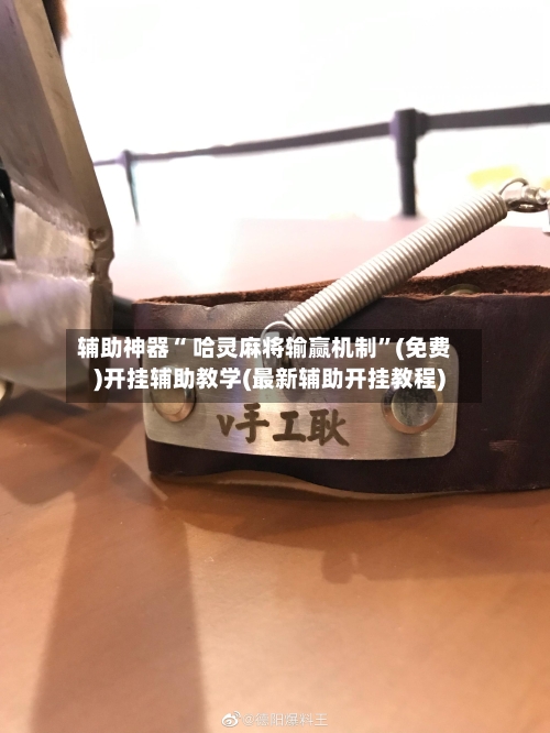 辅助神器“ 哈灵麻将输赢机制”(免费)开挂辅助教学(最新辅助开挂教程)-第3张图片