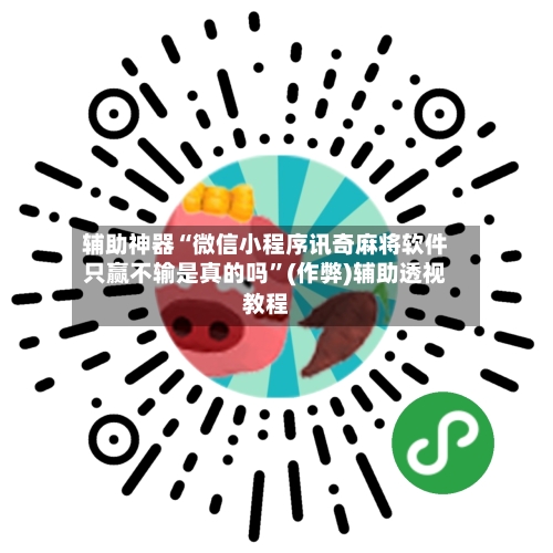 辅助神器“微信小程序讯奇麻将软件只赢不输是真的吗”(作弊)辅助透视教程-第2张图片