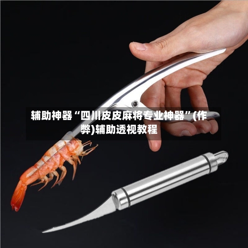 辅助神器“四川皮皮麻将专业神器”(作弊)辅助透视教程-第2张图片