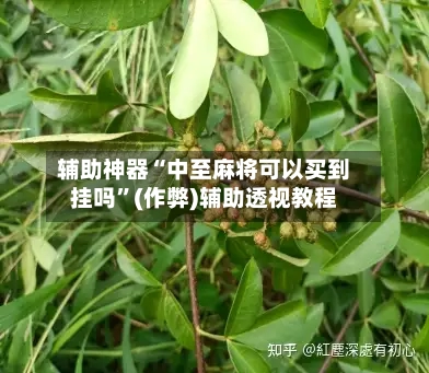 辅助神器“中至麻将可以买到挂吗”(作弊)辅助透视教程-第2张图片