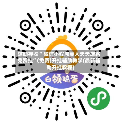辅助神器“ 微信小程序真人天天麻将免费挂”(免费)开挂辅助教学(最新辅助开挂教程)-第2张图片