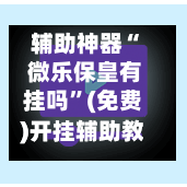 辅助神器“ 微乐保皇有挂吗”(免费)开挂辅助教学(最新辅助开挂教程)-第2张图片