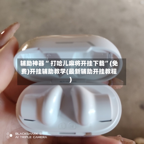 辅助神器“ 打哈儿麻将开挂下载”(免费)开挂辅助教学(最新辅助开挂教程)-第2张图片