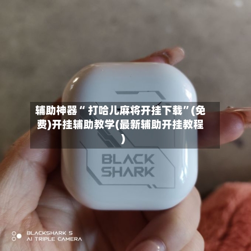 辅助神器“ 打哈儿麻将开挂下载”(免费)开挂辅助教学(最新辅助开挂教程)