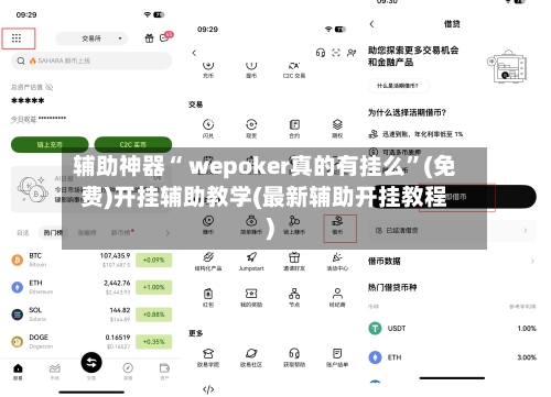 辅助神器“ wepoker真的有挂么”(免费)开挂辅助教学(最新辅助开挂教程)-第2张图片